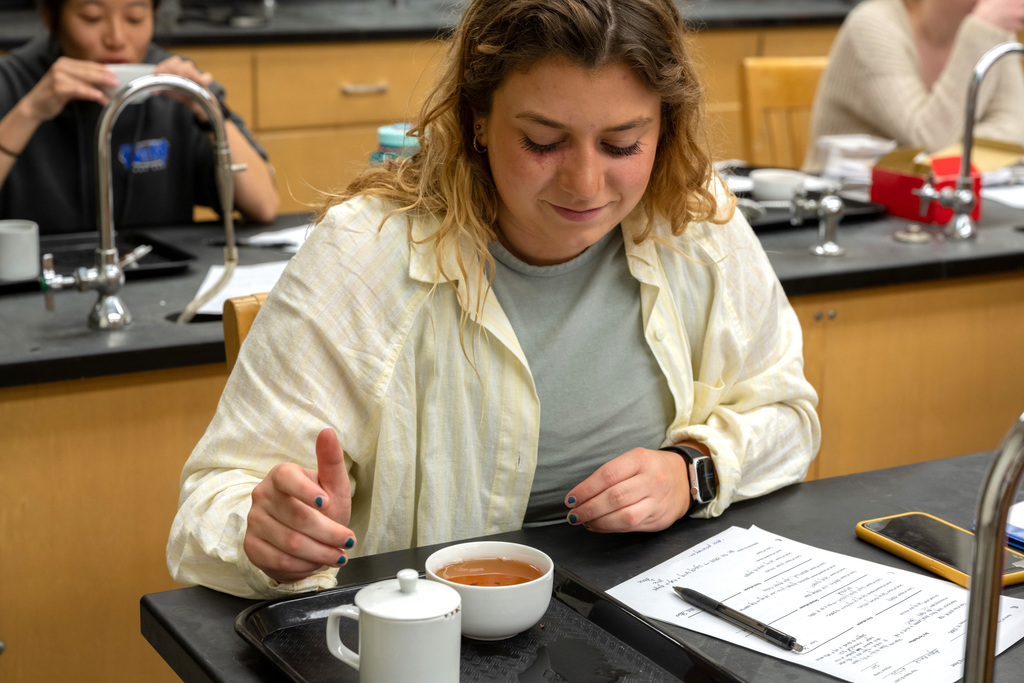 Exploring cultures through the sensory experience of tea