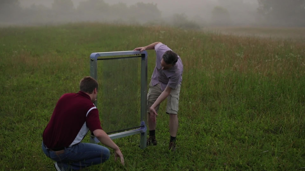 What is Virginia Tech's Fog Harp?