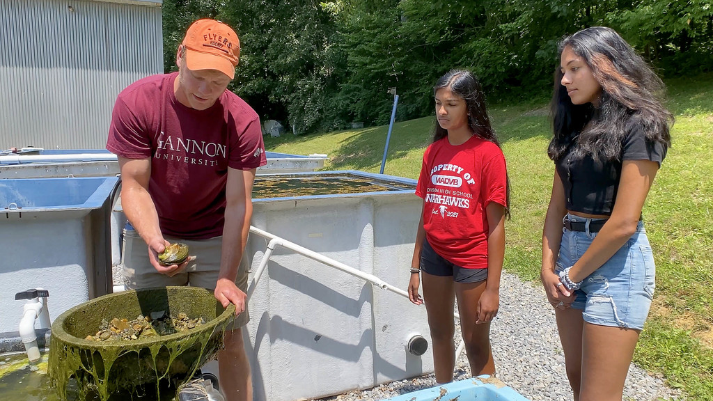 Hutton Program brings budding marine biologists to campus