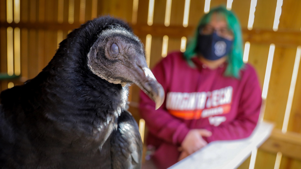 CNRE student finds great joy in helping wildlife