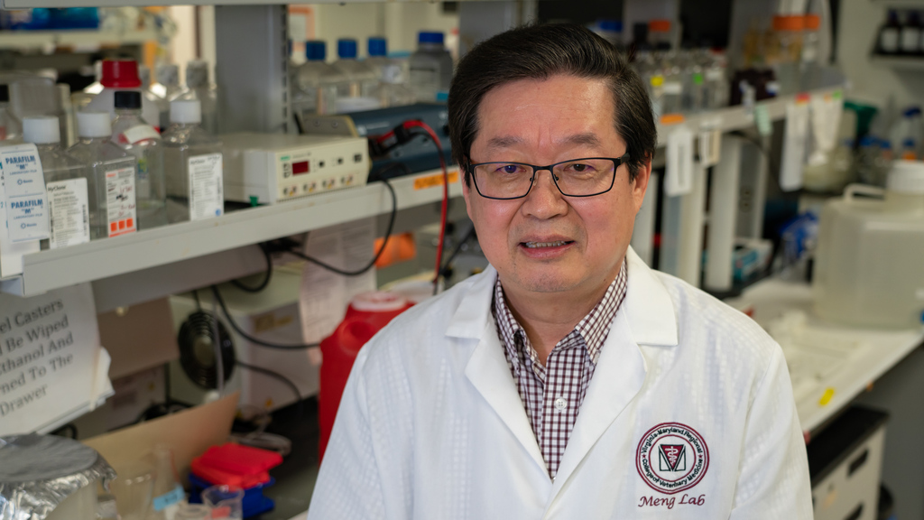 X.J. Meng shares his passion for innovative research in molecular virology