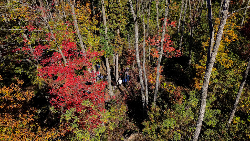 Conservation efforts on display during Fall Forestry and Wildlife Tour