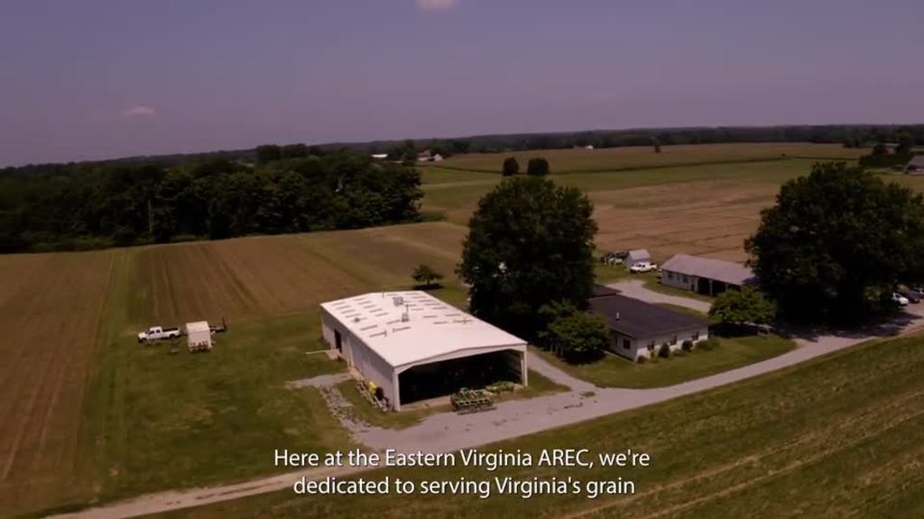 The Eastern Virginia AREC helps the commonwealth’s grain and soybean industries thrive