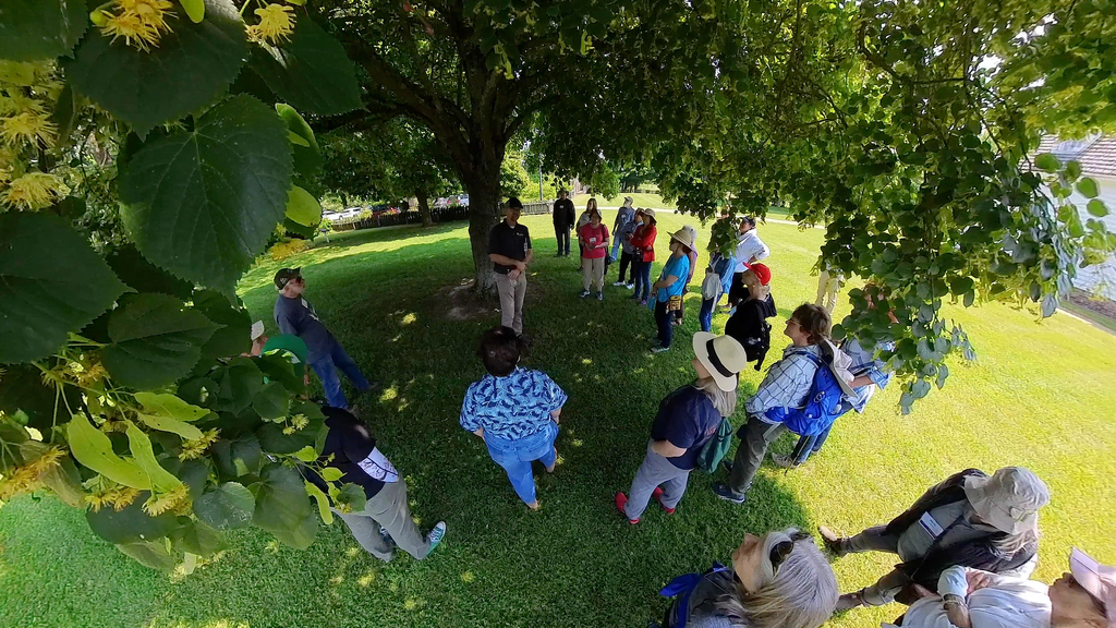 2023 Extension Master Gardeners College highlights advanced tree steward training