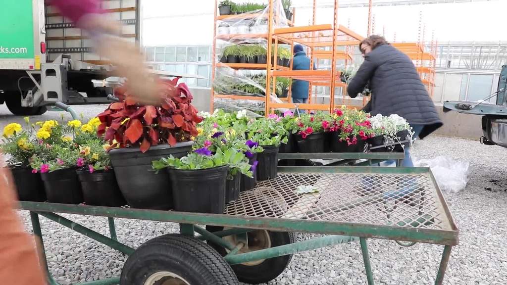 Horticulture Club and Hahn Horticulture Garden Spring Plant Sale