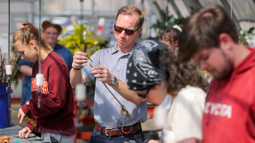 Students get hands-on experience in fruit tree grafting