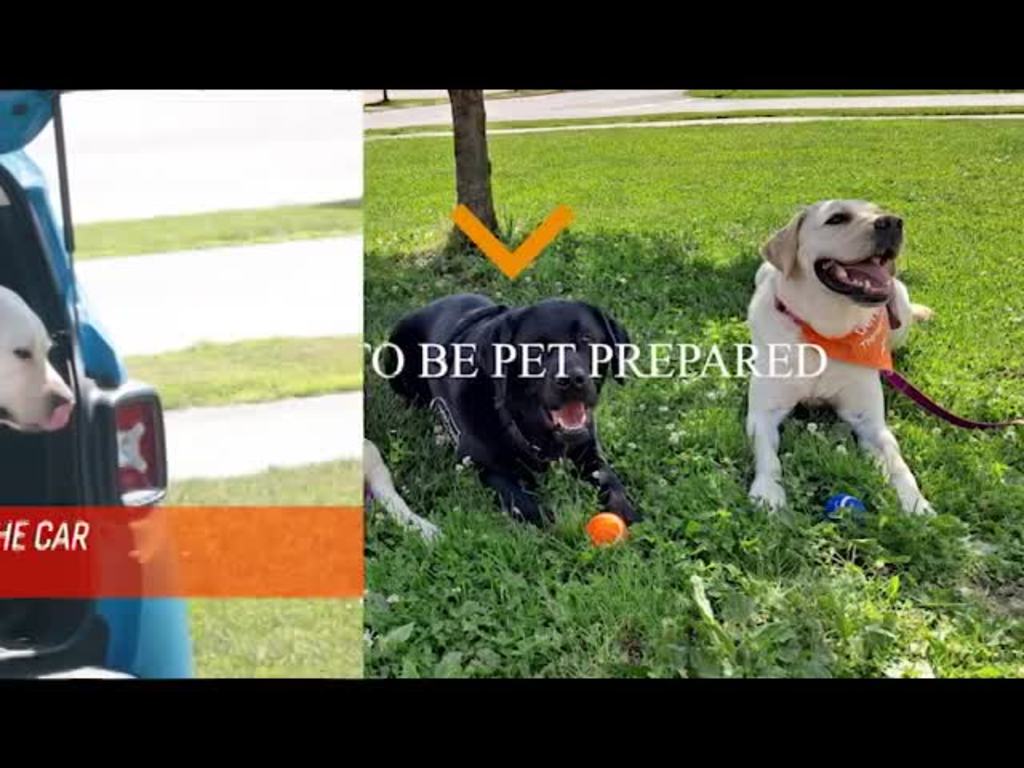 5 Tips to be Pet Prepared