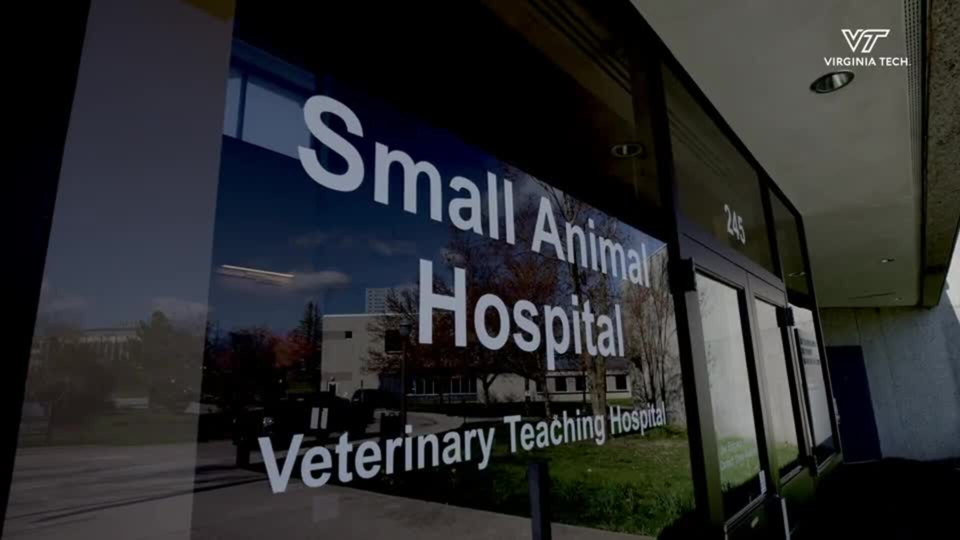 Veterinary Teaching Hospital Expansion and Renovation | Virginia Tech ...