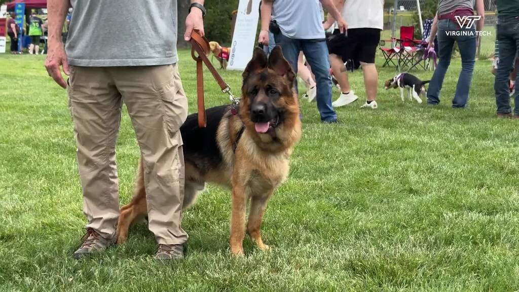 Local Kennel Club celebrates Festival of the Dog with Blacksburg Community