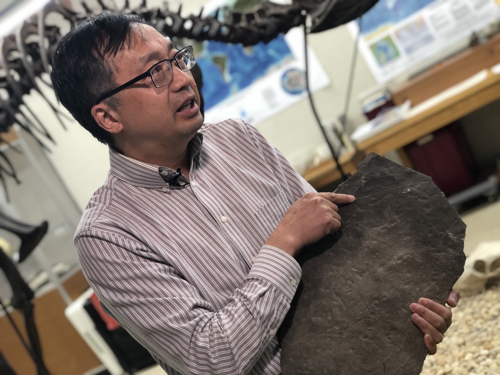 Geosciences professor discovers 550 million-year-old fossil