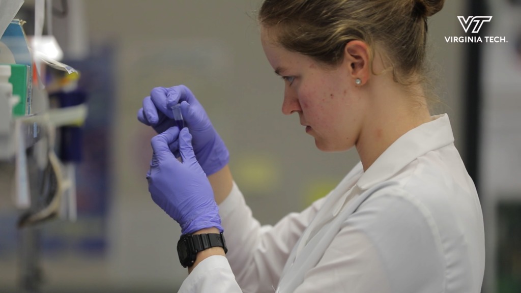 Researching how circadian rhythms influence cancer development