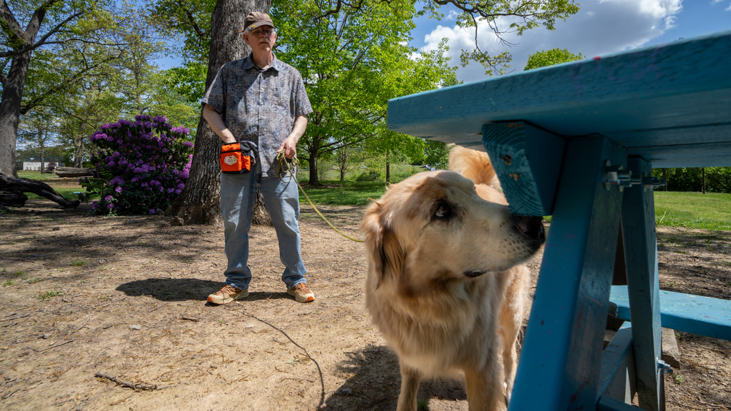 Local dogs sniff out invasive species