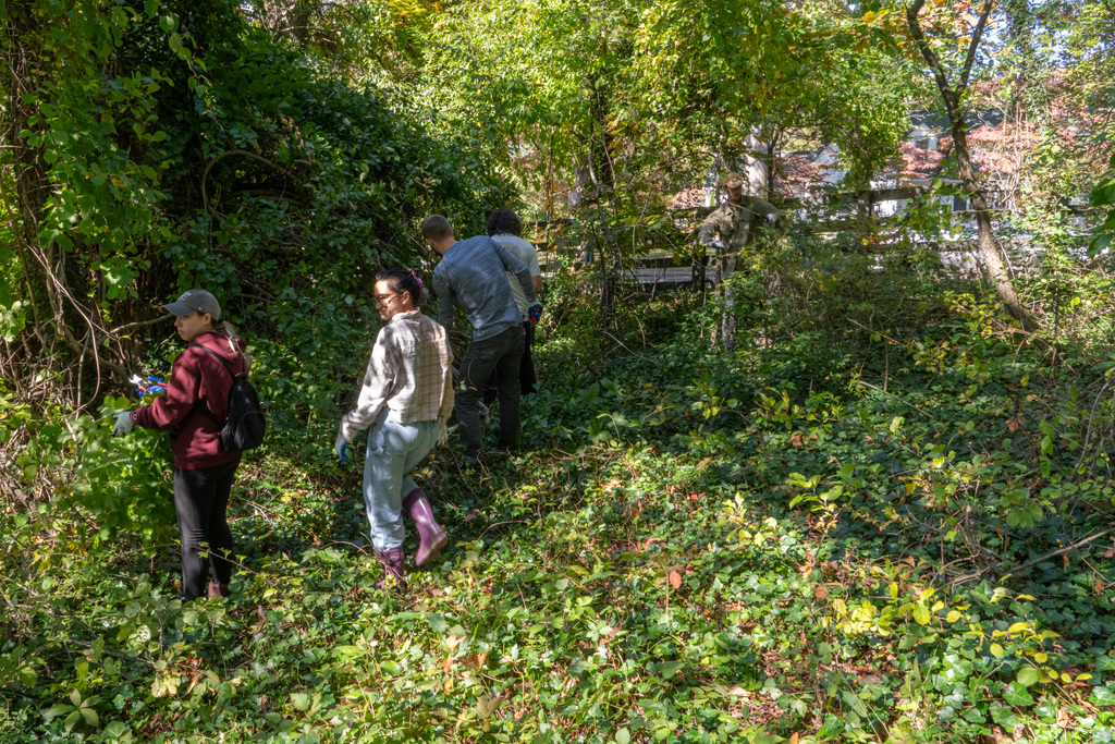Invasive species removal is a team effort