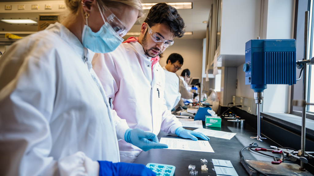 Friendly competition in GlycoMIP's Summer School