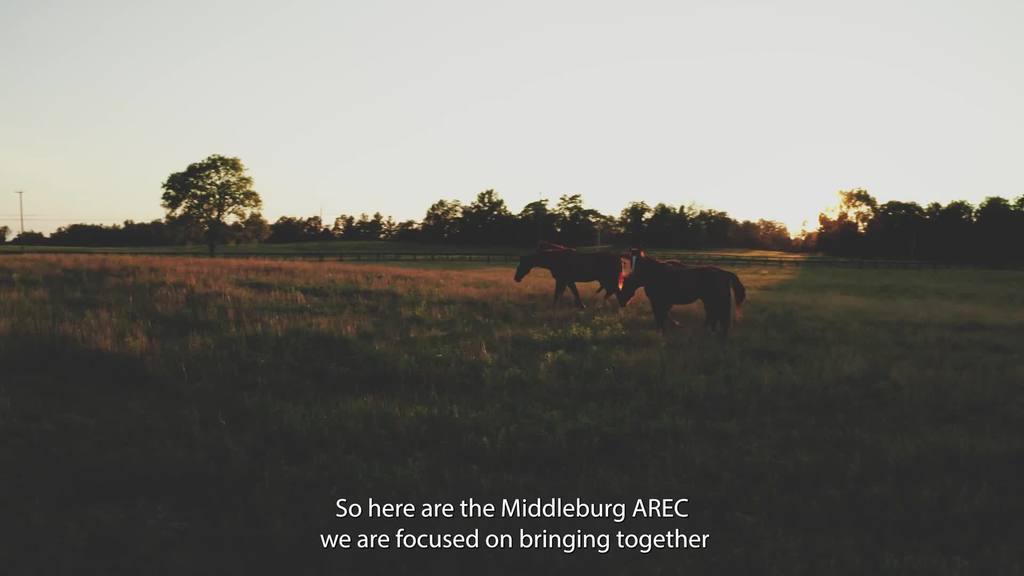 The Middleburg AREC conducts research and Extension on horses and cattle