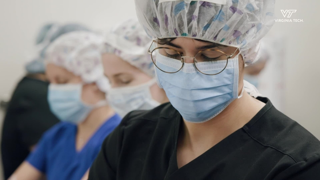 "Gloving and Gowning"  - Second-year Doctor of Veterinary Medicine students navigate learning sterile surgery procedures