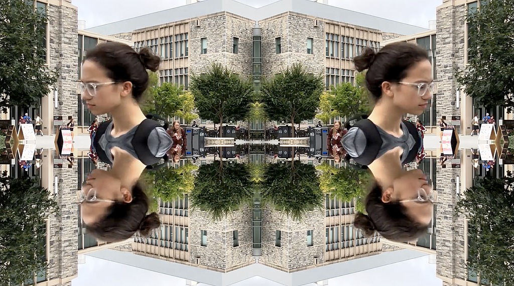 A kaleidoscopic view of Virginia Tech