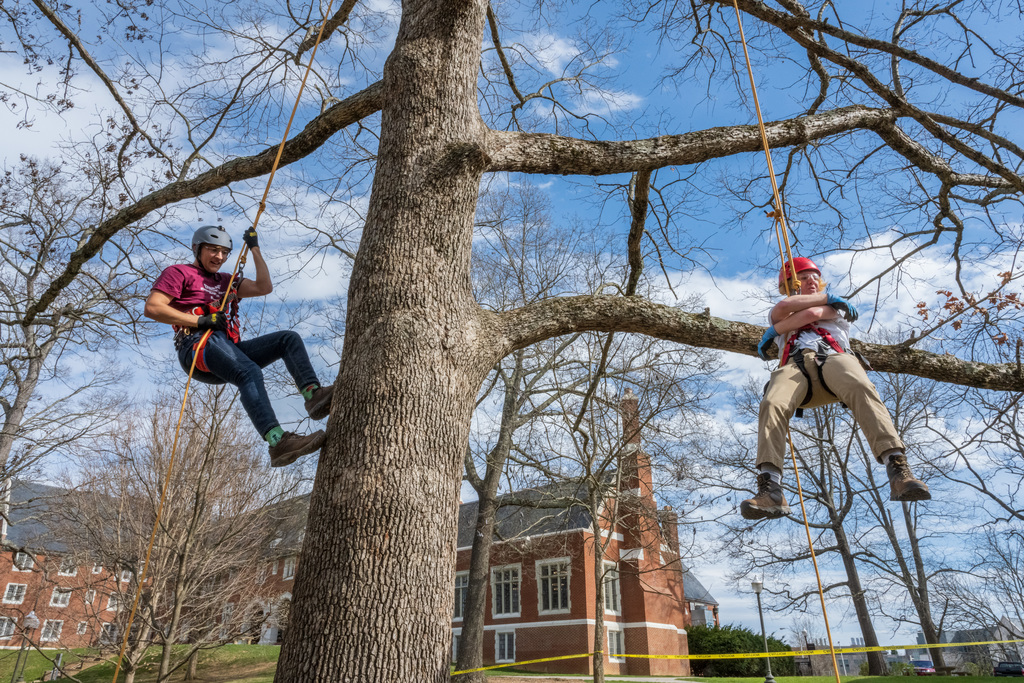 Students excel through achieving a loftier perspective