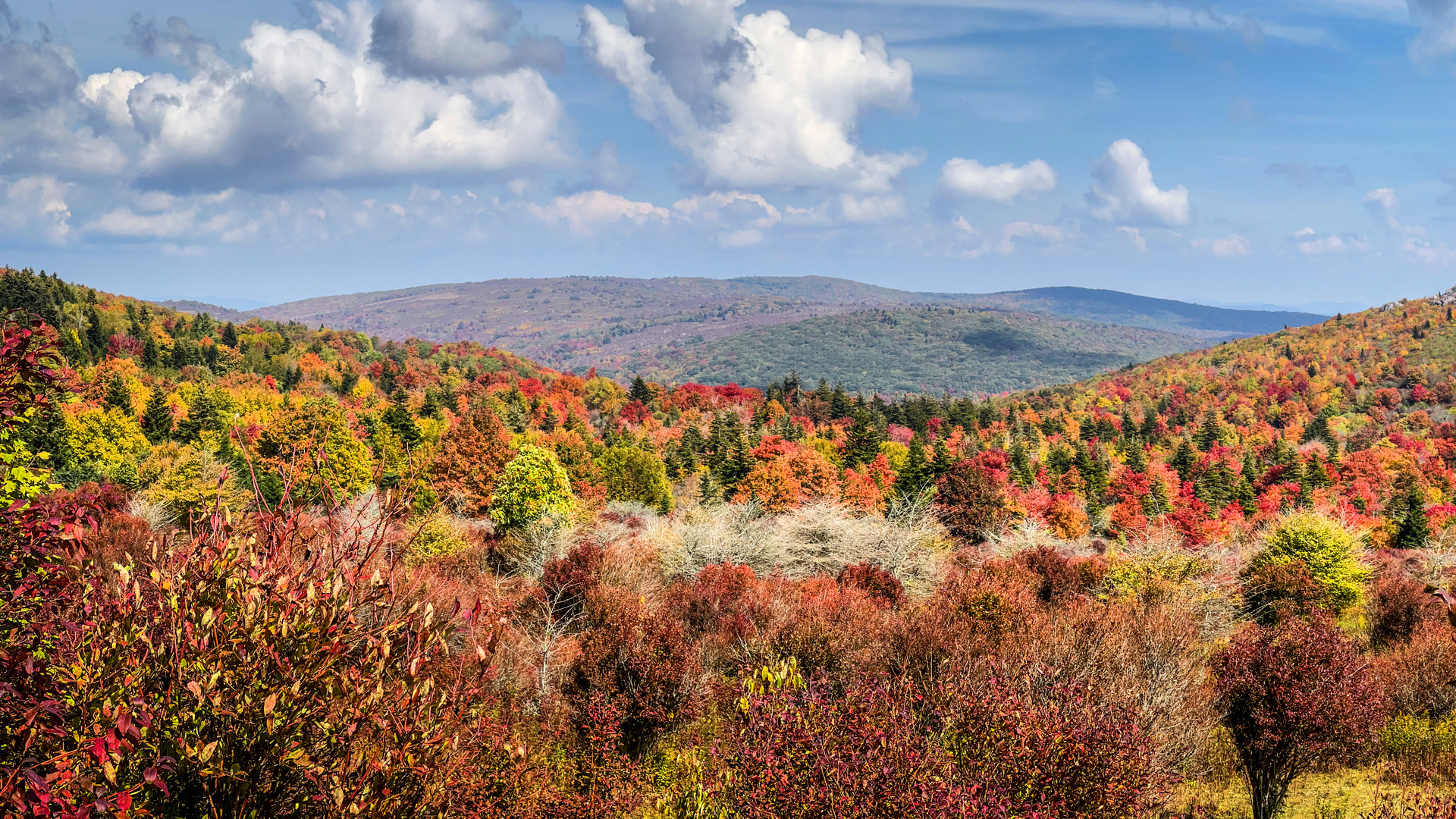 When to expect fall colors to peak VTx Virginia Tech