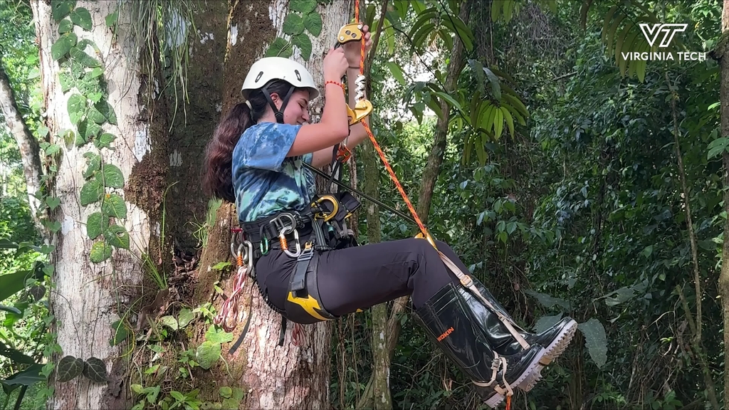 Study abroad Panama takes students off the grid