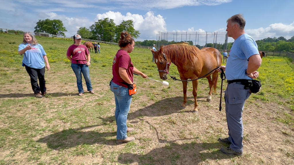 School of Animal Sciences