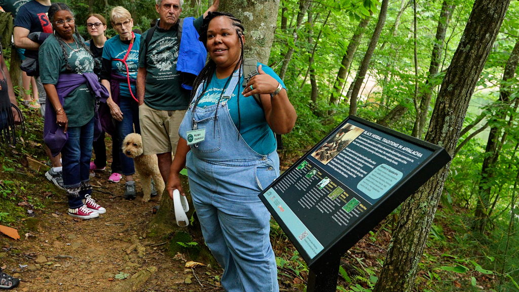 Living monument reveals the treasures of Appalachian forests