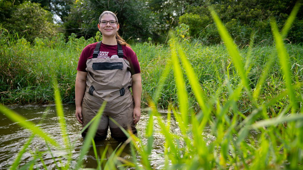 Aquatic invertebrates indicate stream health