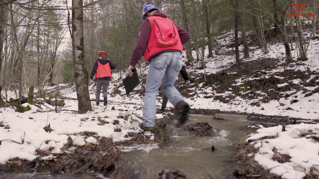 Field Experiences in Forest Resources and Environmental Conservation