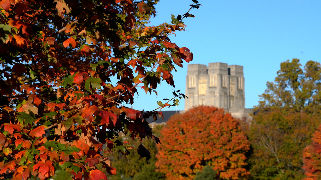 The colors of fall brought to you by Virginia Tech