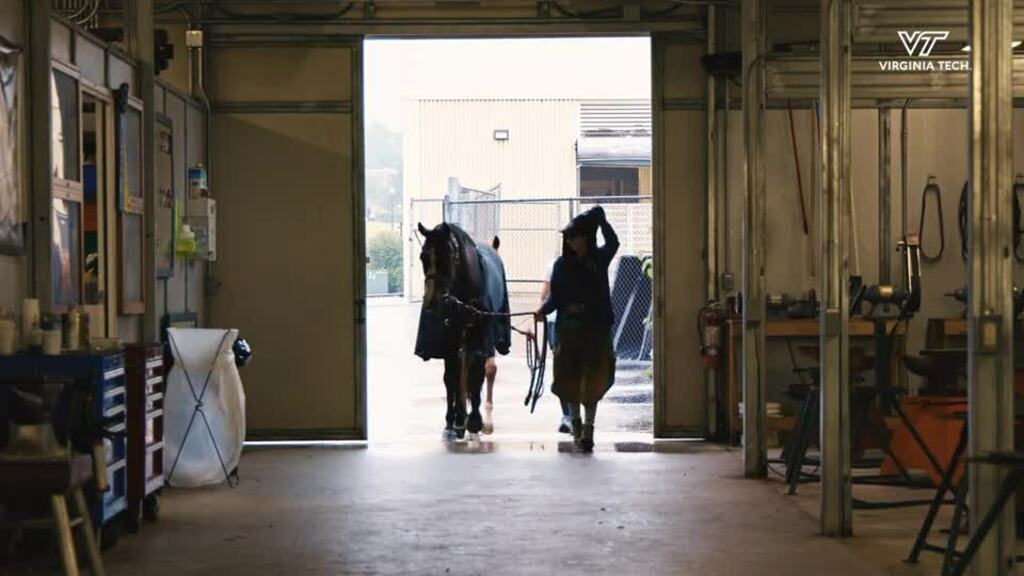 Hoof health is horse health: Newly certified farrier enhances veterinary hospital services