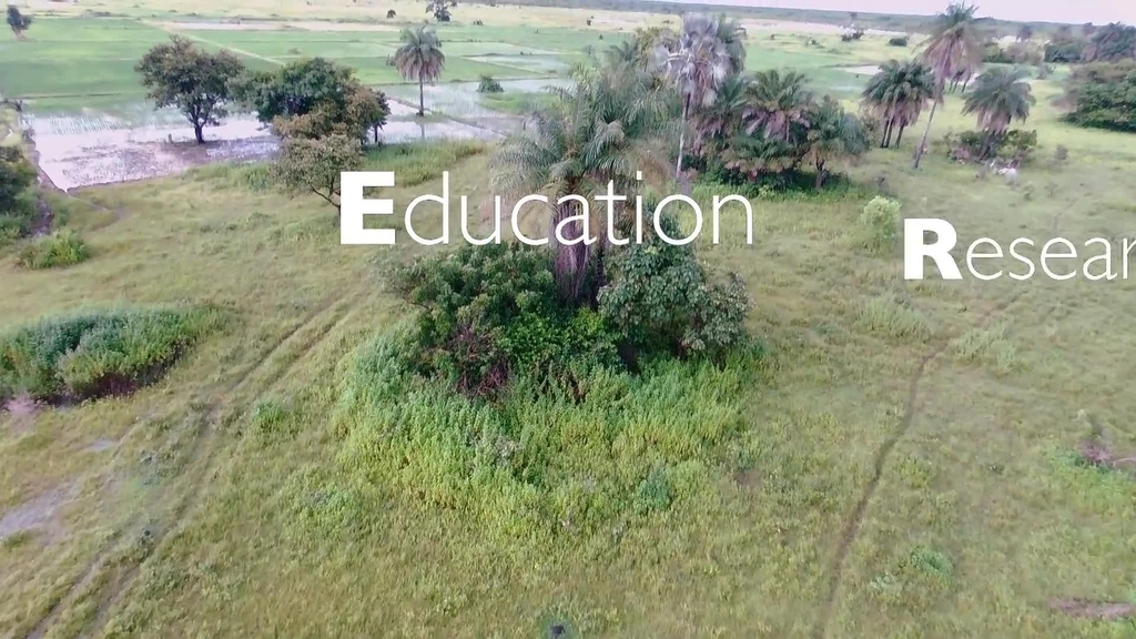Virginia Tech has lasting impacts on Senegal's agriculture and education systems