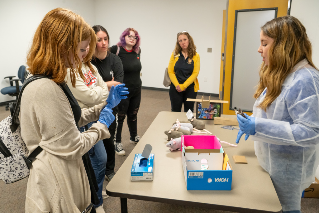 Brain Day encourages students to make healthy decisions