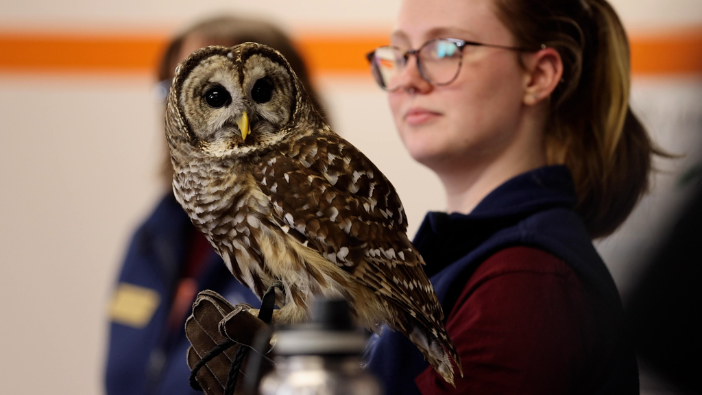 Feathered friends visit ornithology class