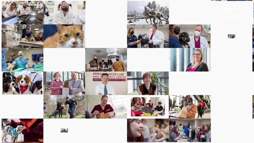 VetMed  - 2022 a year in review