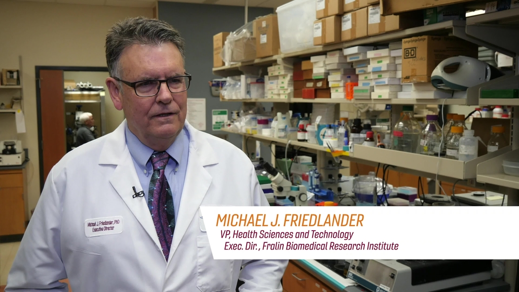Fralin Biomedical Research Institute at VTC: Michael Friedlander