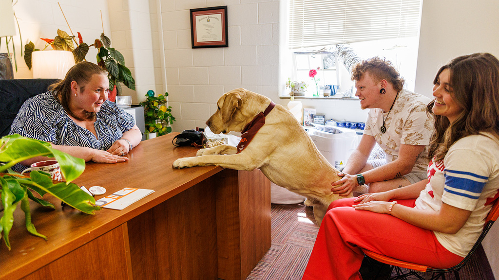New facility dog Aiden is bringing smiles and support
