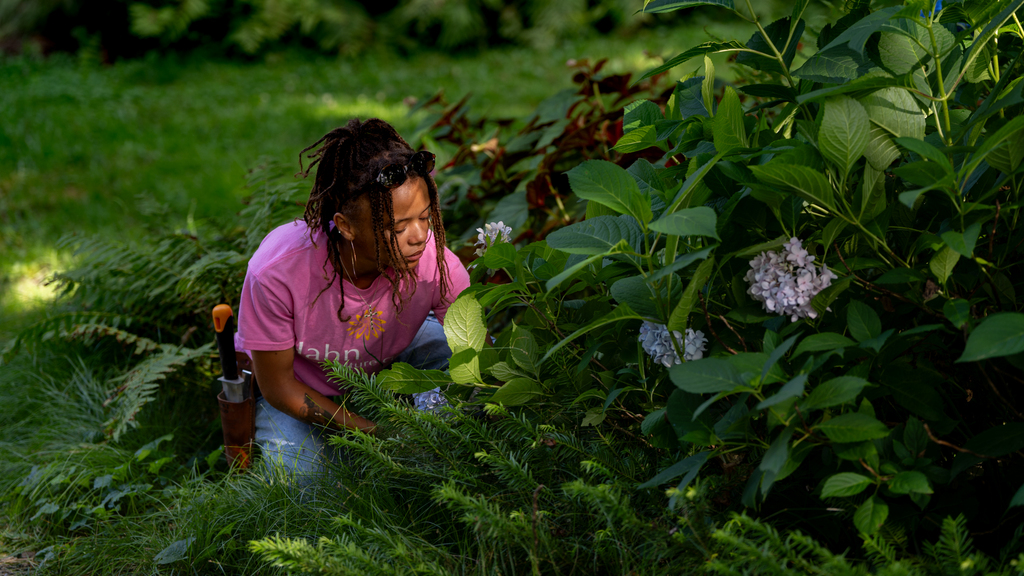 Interning at the Hahn Horticulture Garden