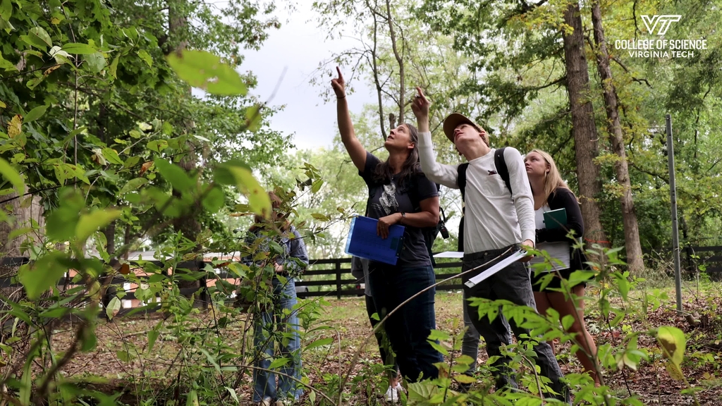 A classroom in nature