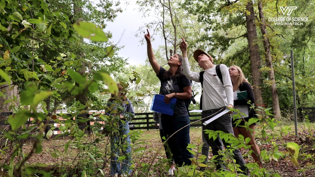 Stadium Woods: A Classroom in Nature