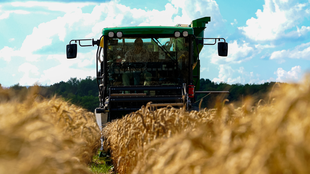 Using technology and science to cultivate future breeds of wheat