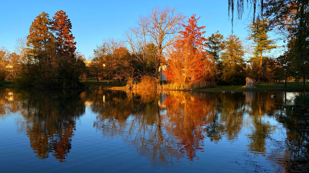 An autumn sunset at the Duck Pond