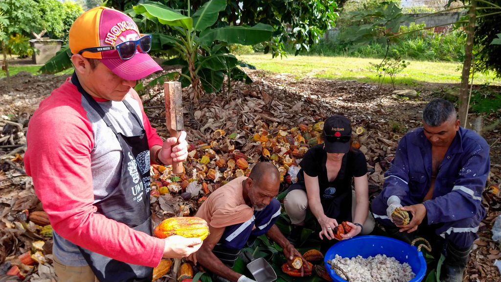 In search of higher quality chocolate
