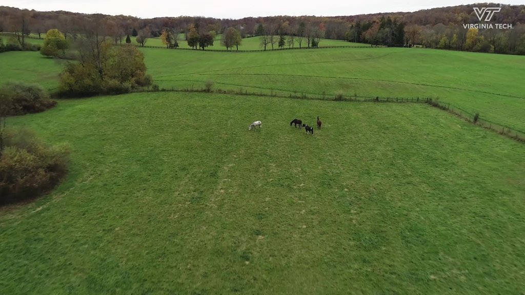 Comprehensive care at equine medical center