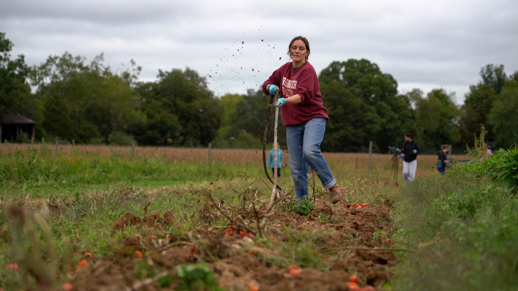 Living laboratory engages students with hands-on approach to sustainability