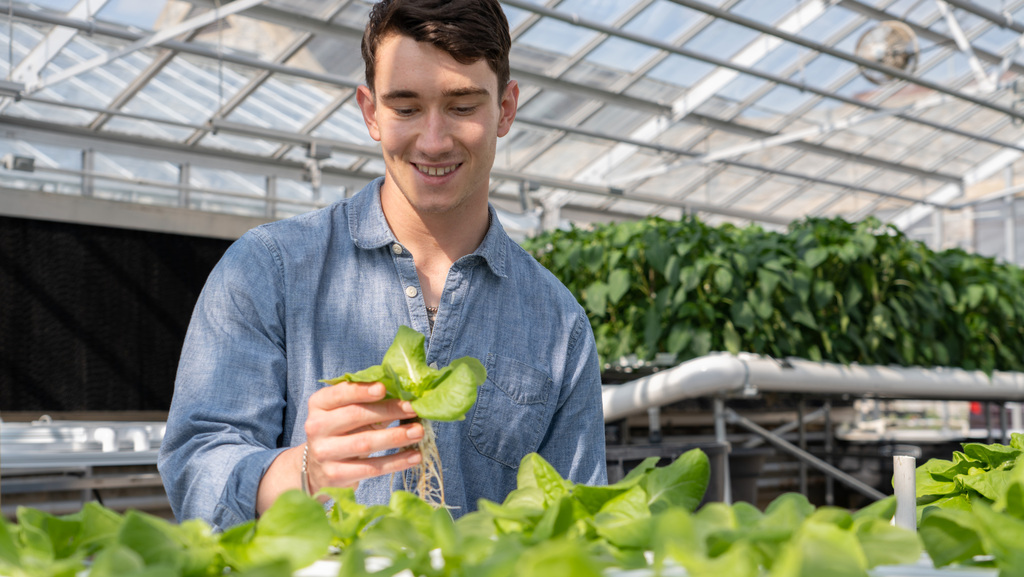 Former Marine cultivates new passion in agriculture research