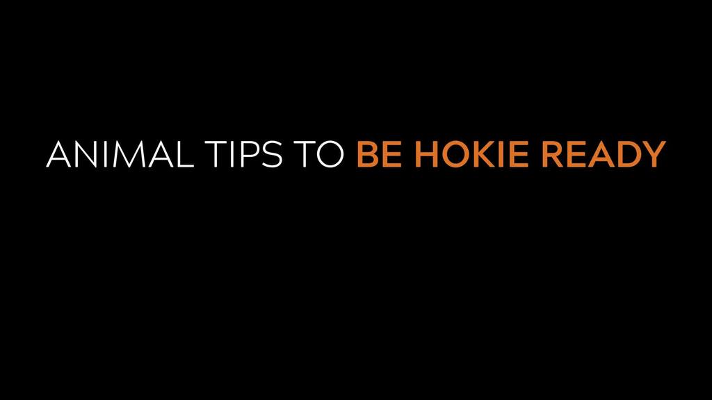 Animal Tips To Be Hokie Ready