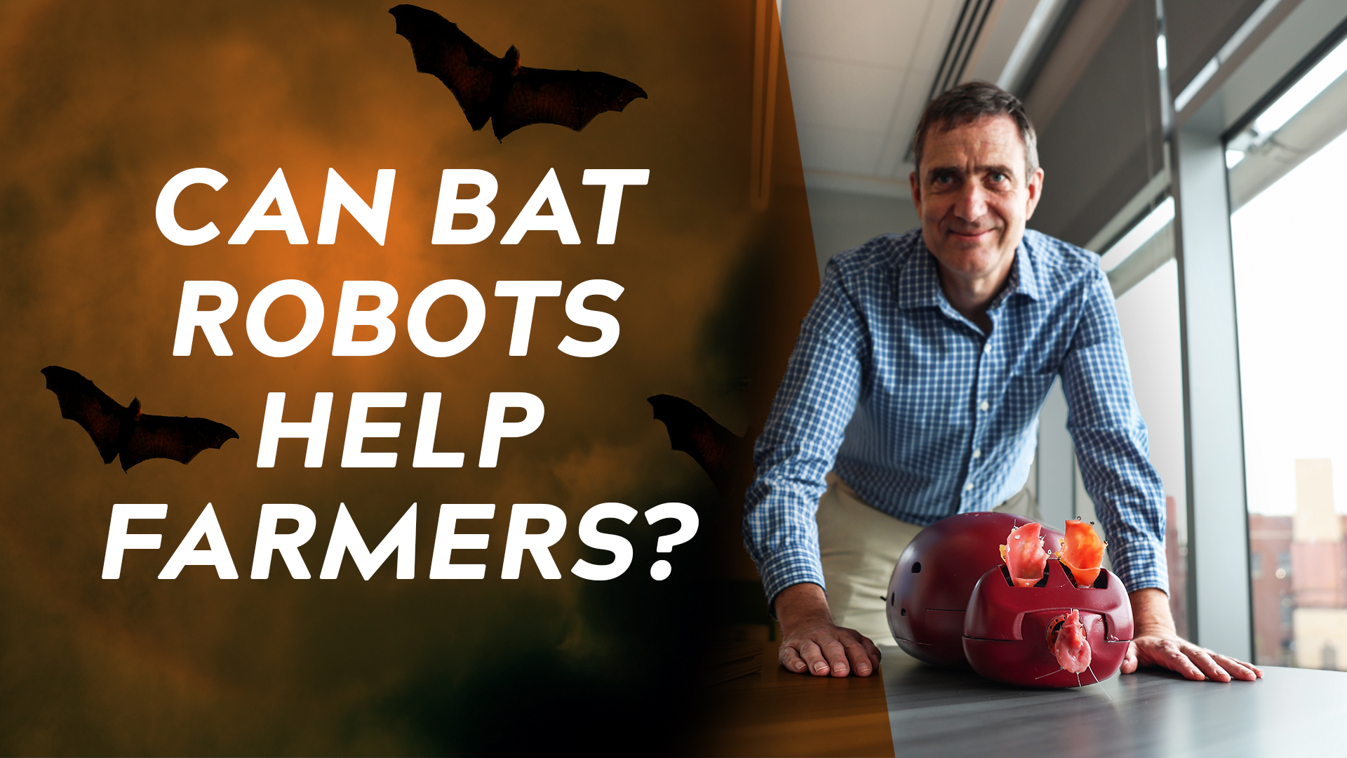Engineering Explained: Bat-inspired robot drones | Virginia Tech News ...