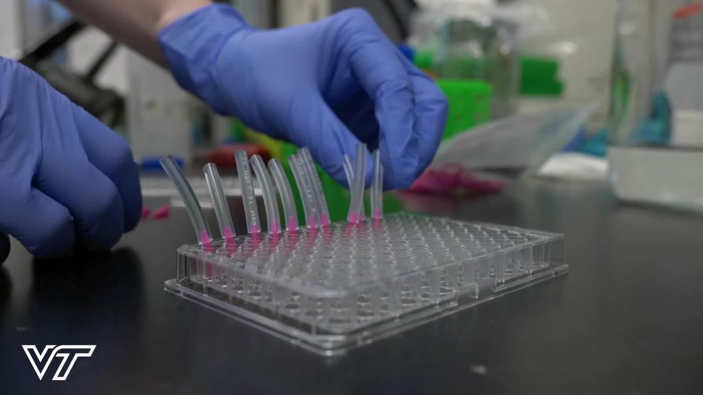 VTCSOM Spotlight on Research- Chris Childers