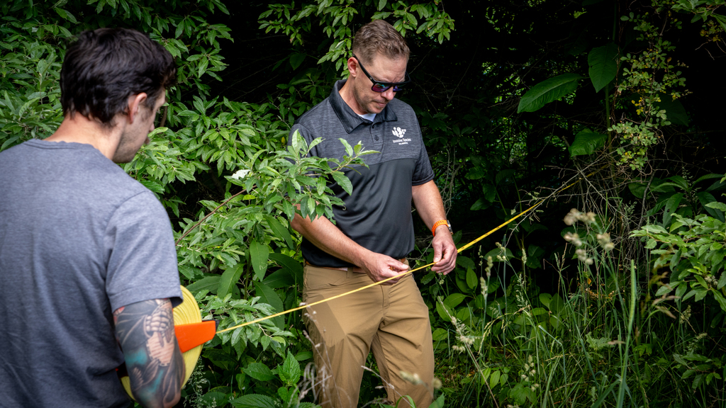 Invasive species impact native soundscapes