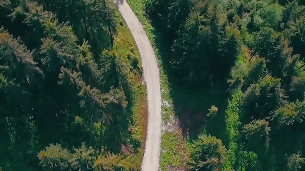 Welcome to the Pathways to Sustainability minor